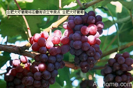 亿万28官网-追求健康,你我一起成长