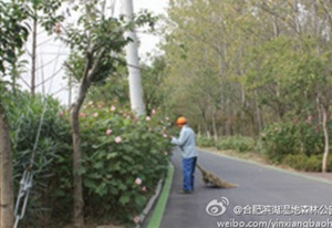 亿万28官网-追求健康,你我一起成长