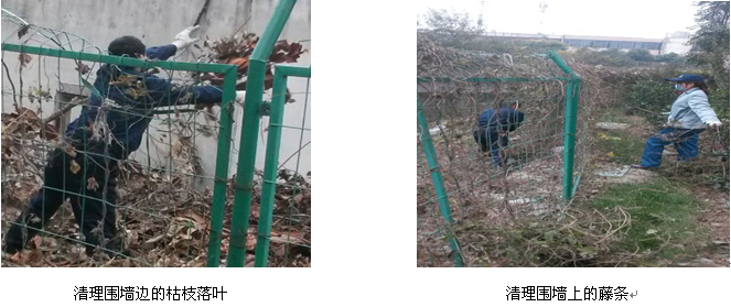 亿万28官网-追求健康,你我一起成长
