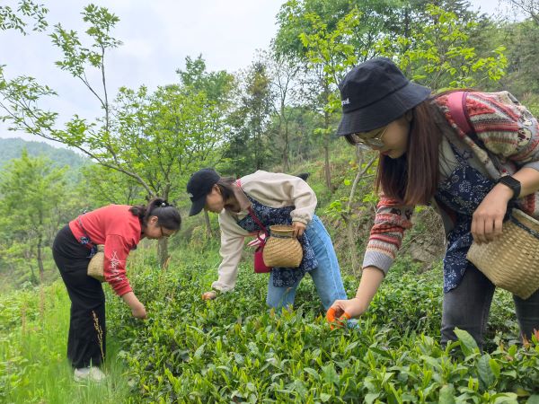 亿万28官网-追求健康,你我一起成长